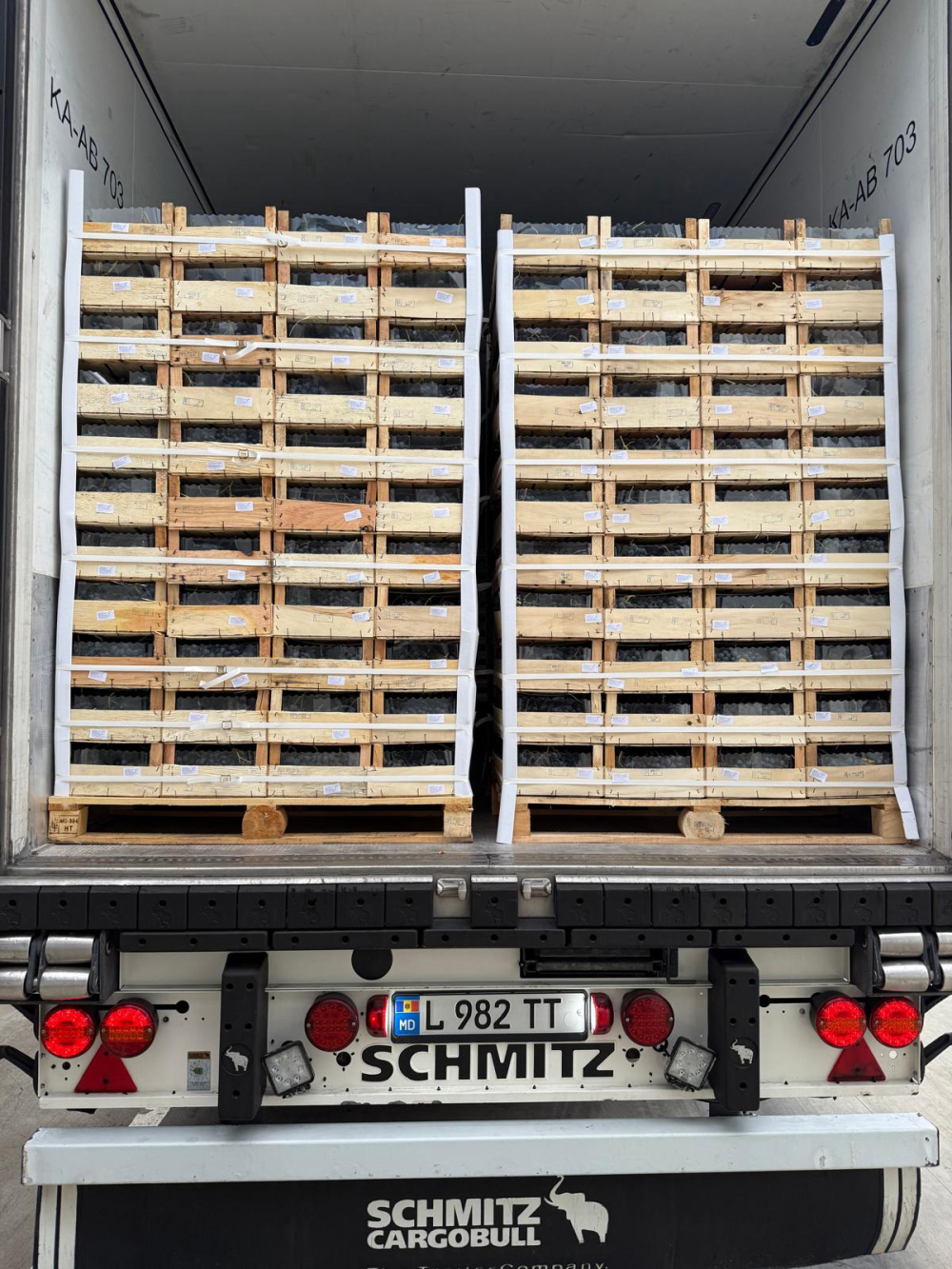 WhatsApp Image 2026-01-19 at 22.10.53.jpeg