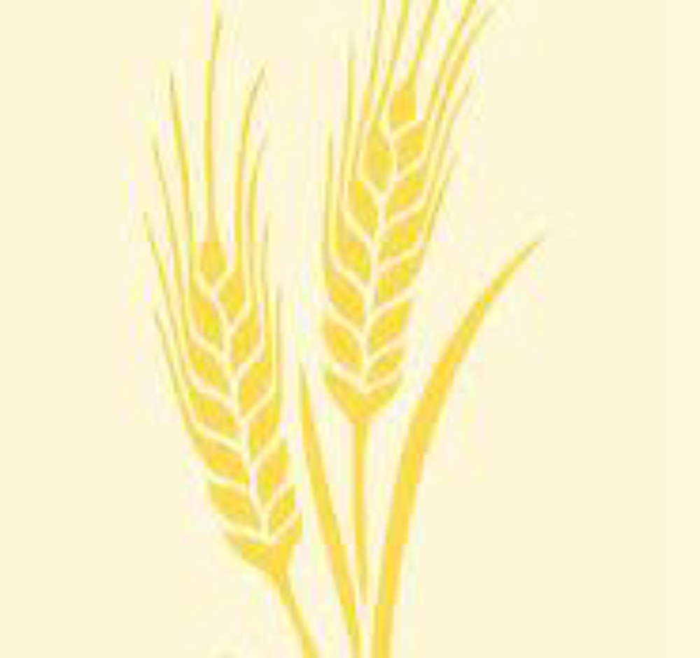 "R&B BOGDARI" S.R.L.