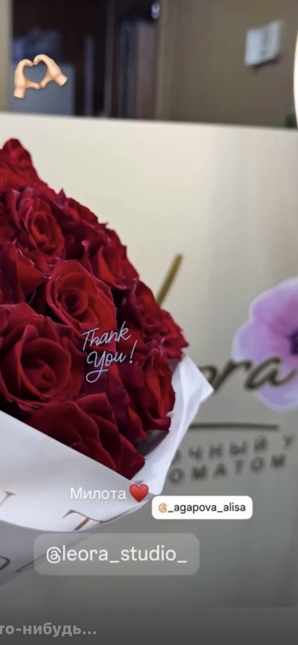 S.R.L. "AGAPOVA LEORA"