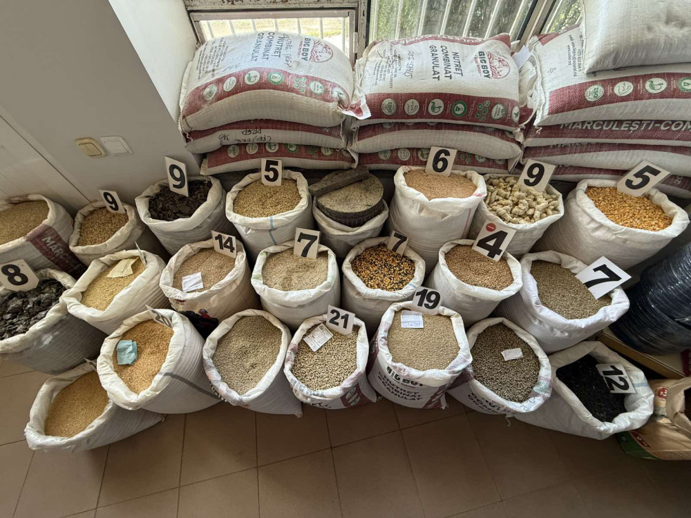 "FERMA CONDUR" S.R.L.